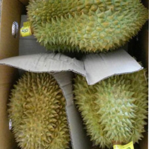durian
