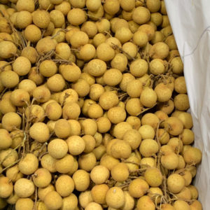exporter of longan