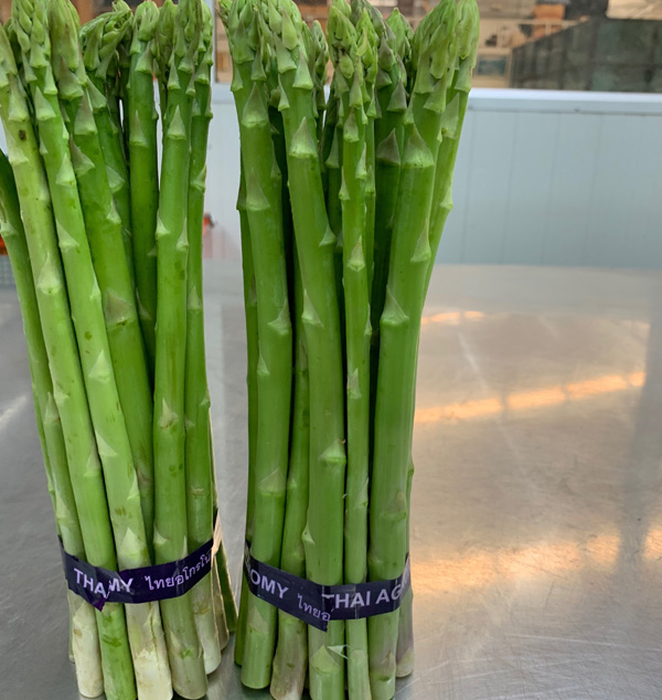 Exporter of Asparagus - Thai Agronomy Products Co., Ltd